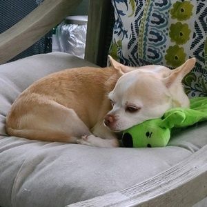 Meet your Posher, Marlene